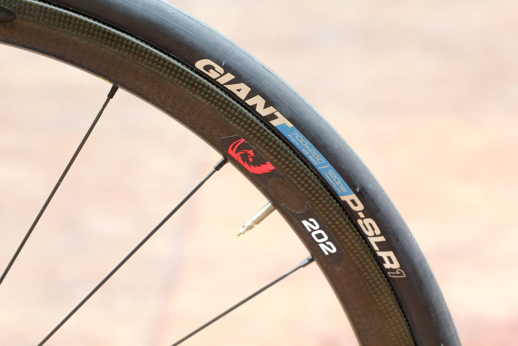 giant di2 disc